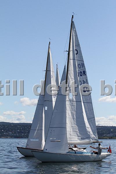 Knarr2011 050.jpg